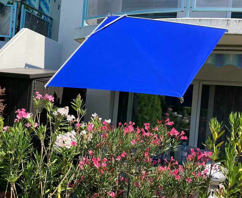 Farbtupfer gegen Abendsonne.jpg