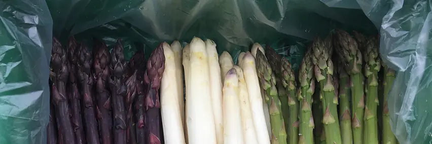 Seeländer Spargel vom Weissen Kreuz