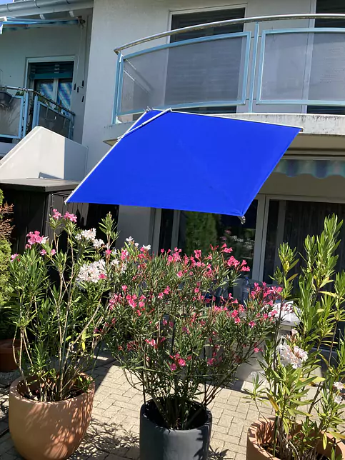 Farbtupfer gegen Abendsonne.jpg