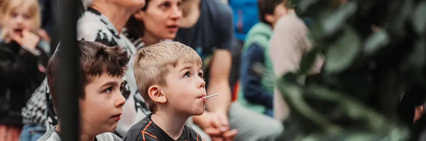 Zaubershow mit Zauberlektion