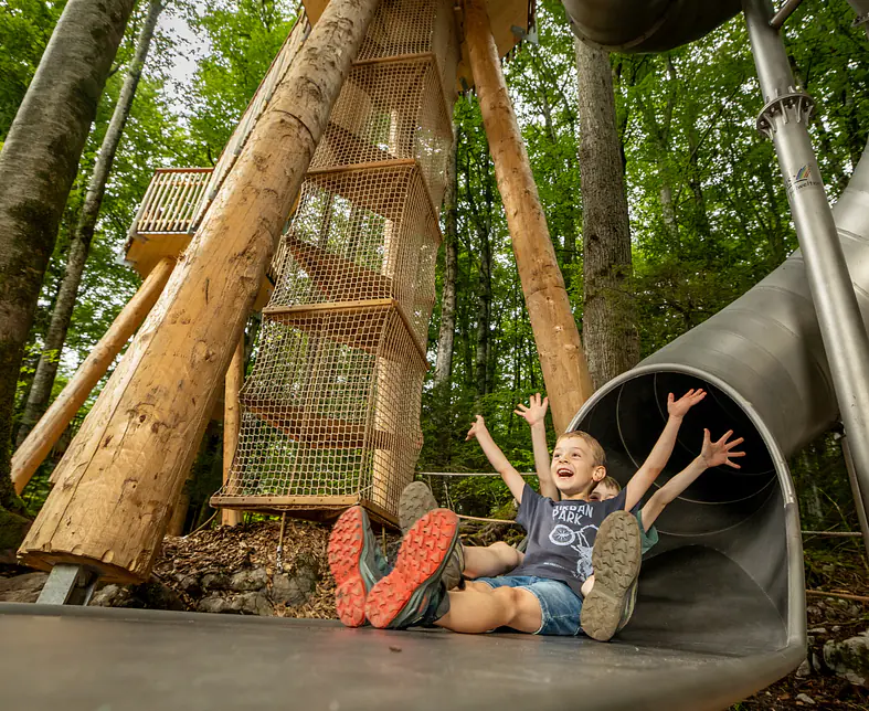 2025-07-22_dabi_Waldspielplatz_6422.jpg