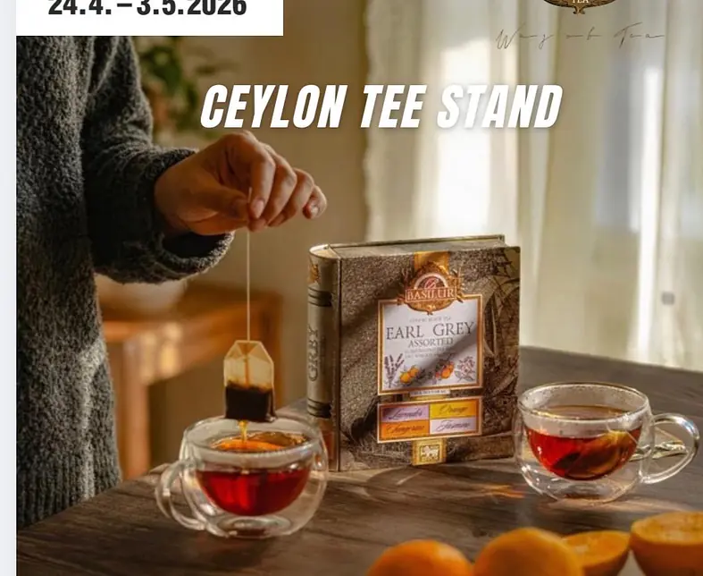 e0ec279c-4e2b-45d3-8621-bc98619e402f.jpeg