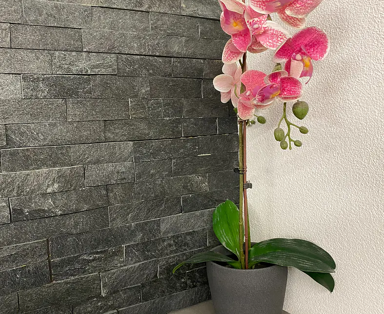 Dekoration in Badezimmer.jpg