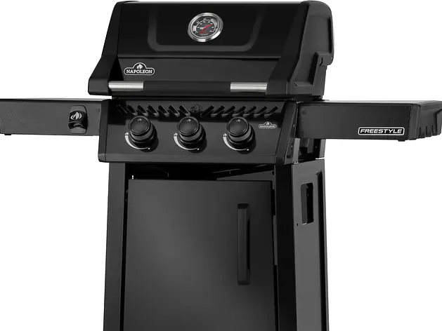 Unser Topmodell Napoleon Freestyle