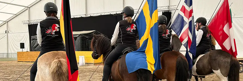 Islandpferde, erweiterte Rassepräsentation