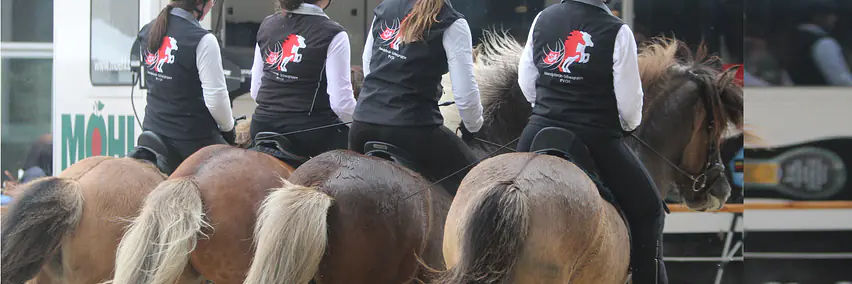 Faszination Islandpferd