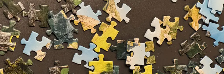 Speed-Puzzle Wettbewerb