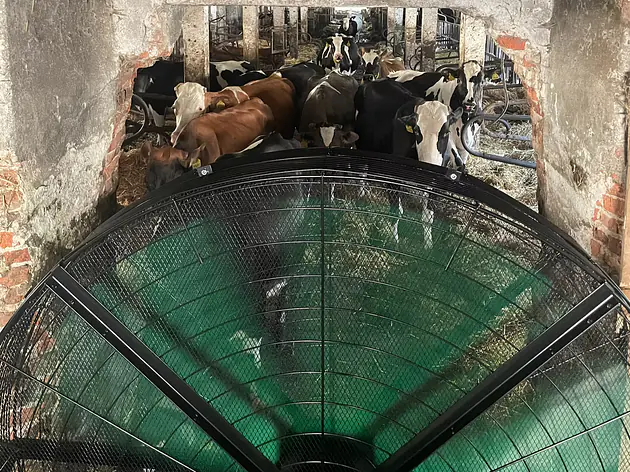 mobiler Stalllüfter