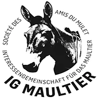 IG Maultier