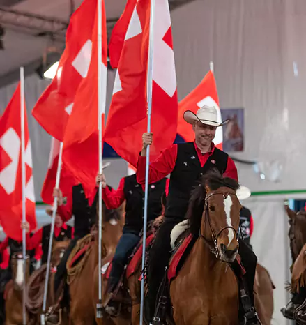 Freiberger Western Show Team „FILMREIF“ - Bekannte Filme – Pferdig interpretiert