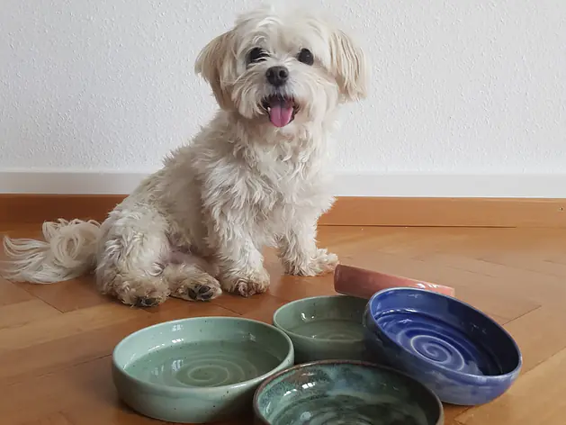 Näpfe für Katzen und Hunde aus Keramik