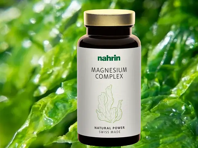 Magnesium – ein zentraler Lebensbaustein