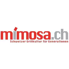 Mimosa-Cheminéebau und Gewürze AG
