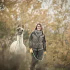 Lama Flüstern