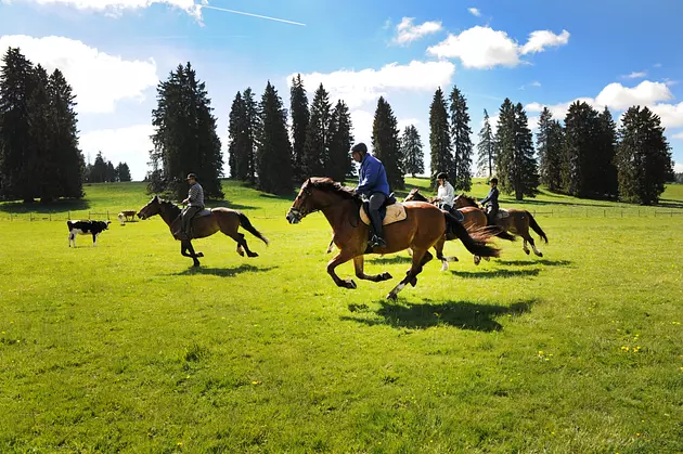 Reitwegenetz Jura und Umgebung - Ferien zu Pferd