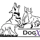 DogX Der gesunde Hund (Bewegung und Ernährung)