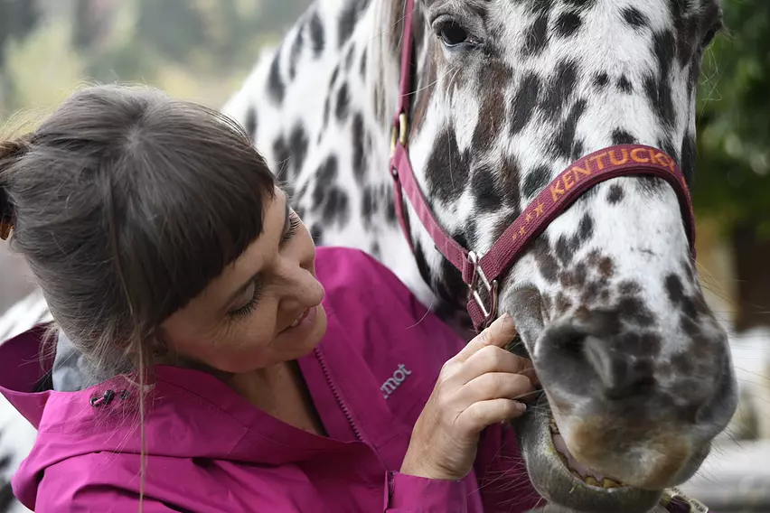 Zentao Tiertherapie