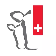 Mutterkuh Schweiz