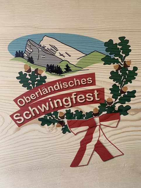 DIEWANDDRUCKER.CH